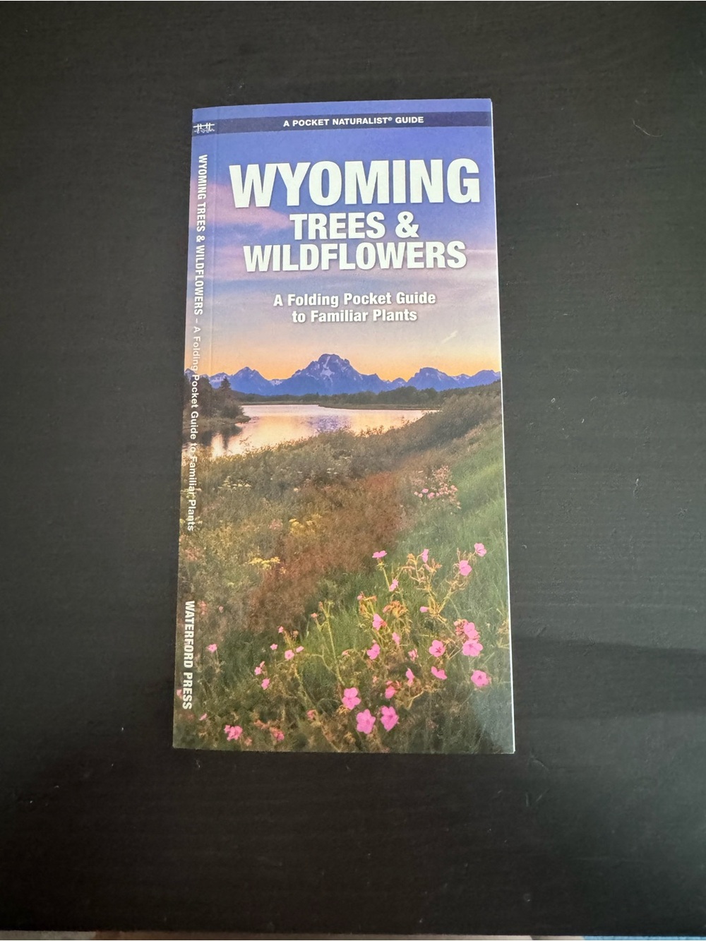 Wyoming Trees & Wildflowers Pocket Guide - Purple Cover